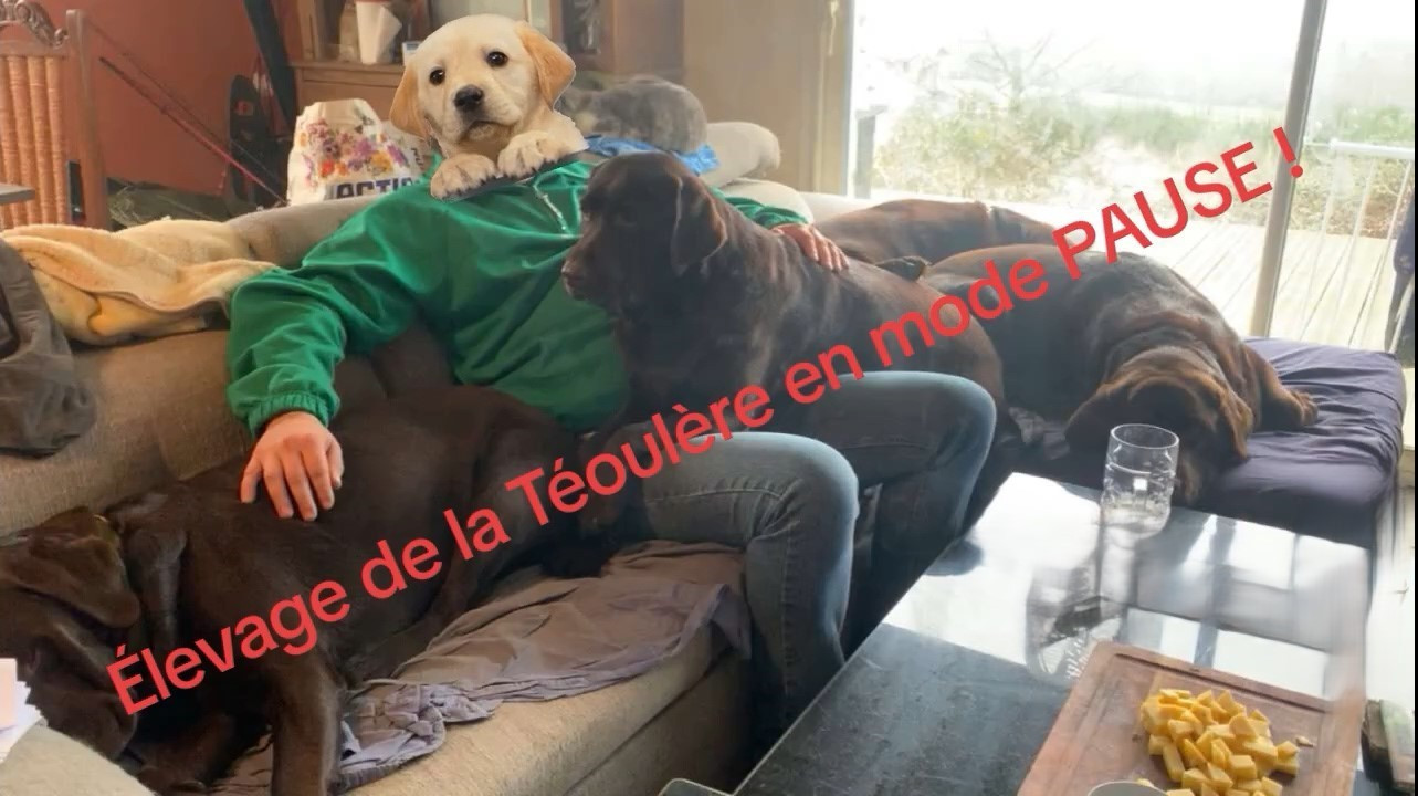 des Hautes-Pyrénées - L'élevage de la Téoulère en mode PAUSE !