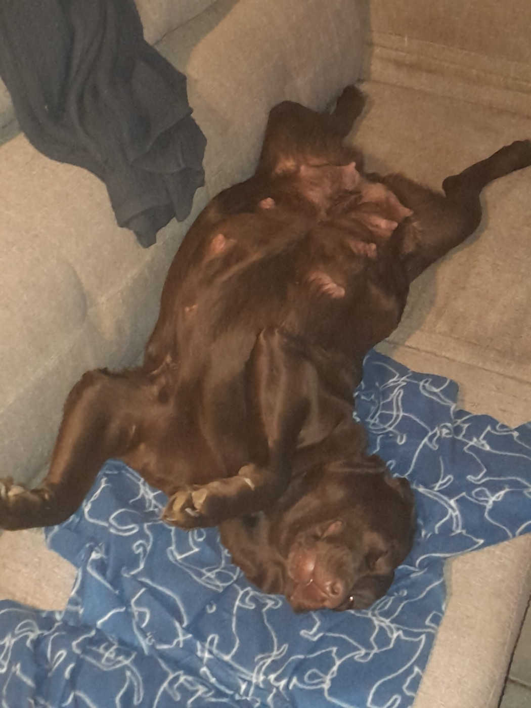 des Hautes-Pyrénées - Radio Téquila