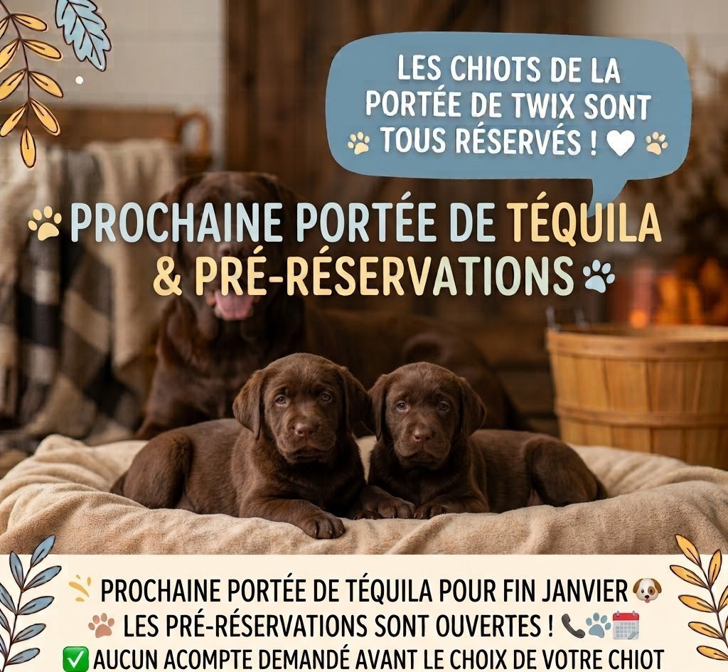 Ouverture des pré-réservations