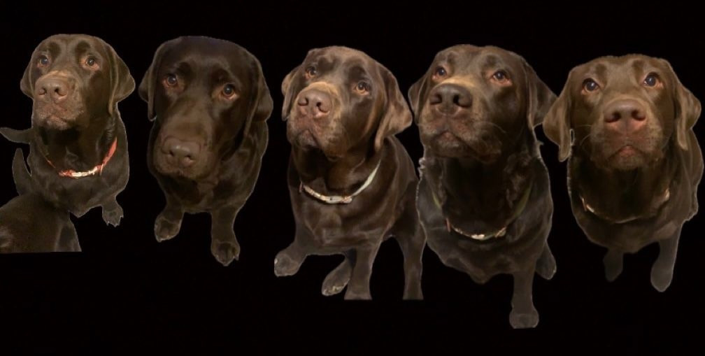 des Hautes-Pyrénées